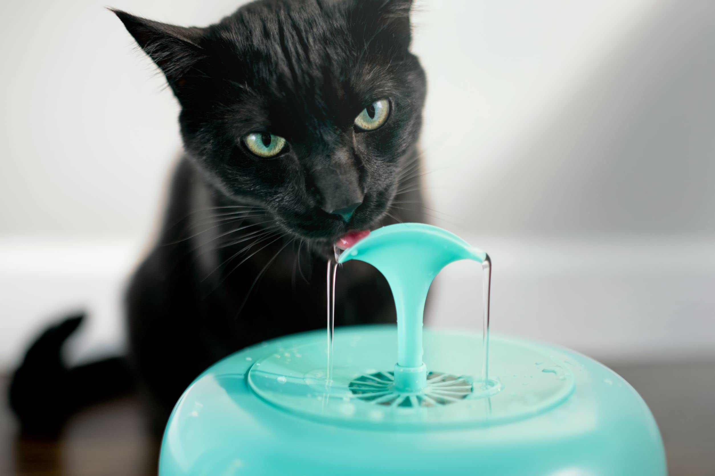Intellileash Purroducts Purrfect Water Fountain For Cats And Dogs - Premium 5-Layer Filtration, Splash-Proof, Auto Shut-Off, And