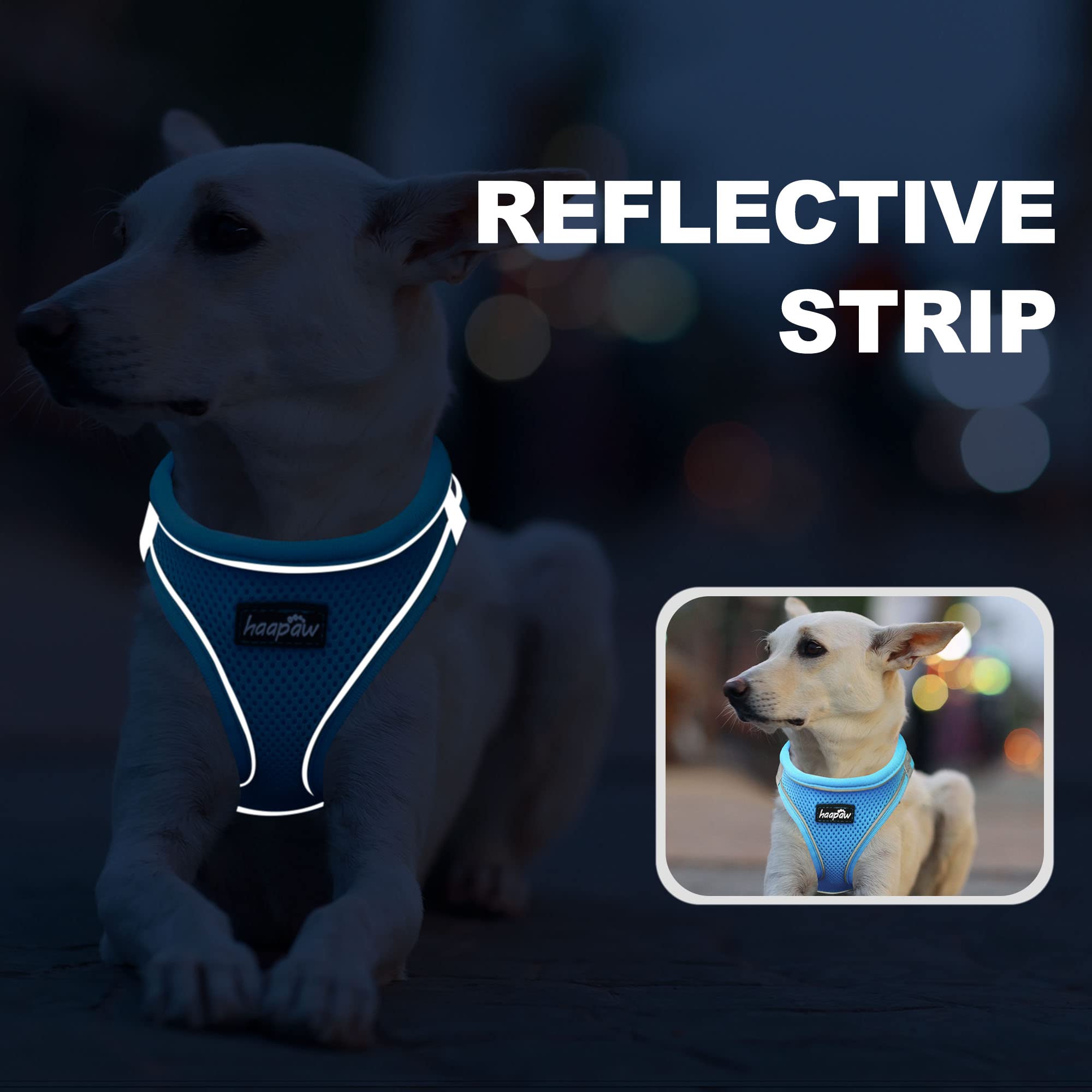 Haapaw Dog Harness With Leash Set, No Pull Adjustable Reflective Step-In Puppy Harness With Thickened Padded Vest For Extra-Small/Small Medium Dogs