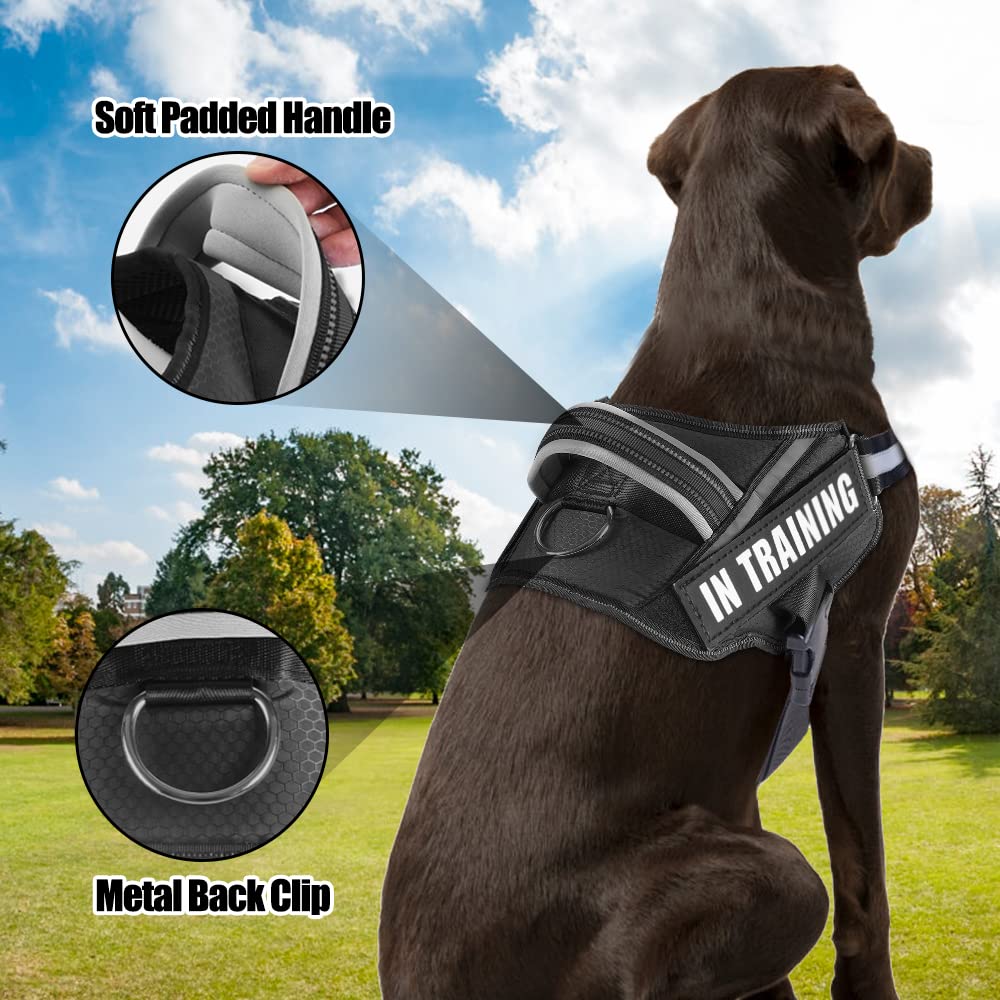 Service Dog Vest Harness And Leash Set, Animire In Training Dog Harness With 8 Dog Patches, Reflective Dog Leash With Soft Padded Handle For Small, Medium, Large, And Extra-Large Dogs (Black,M)