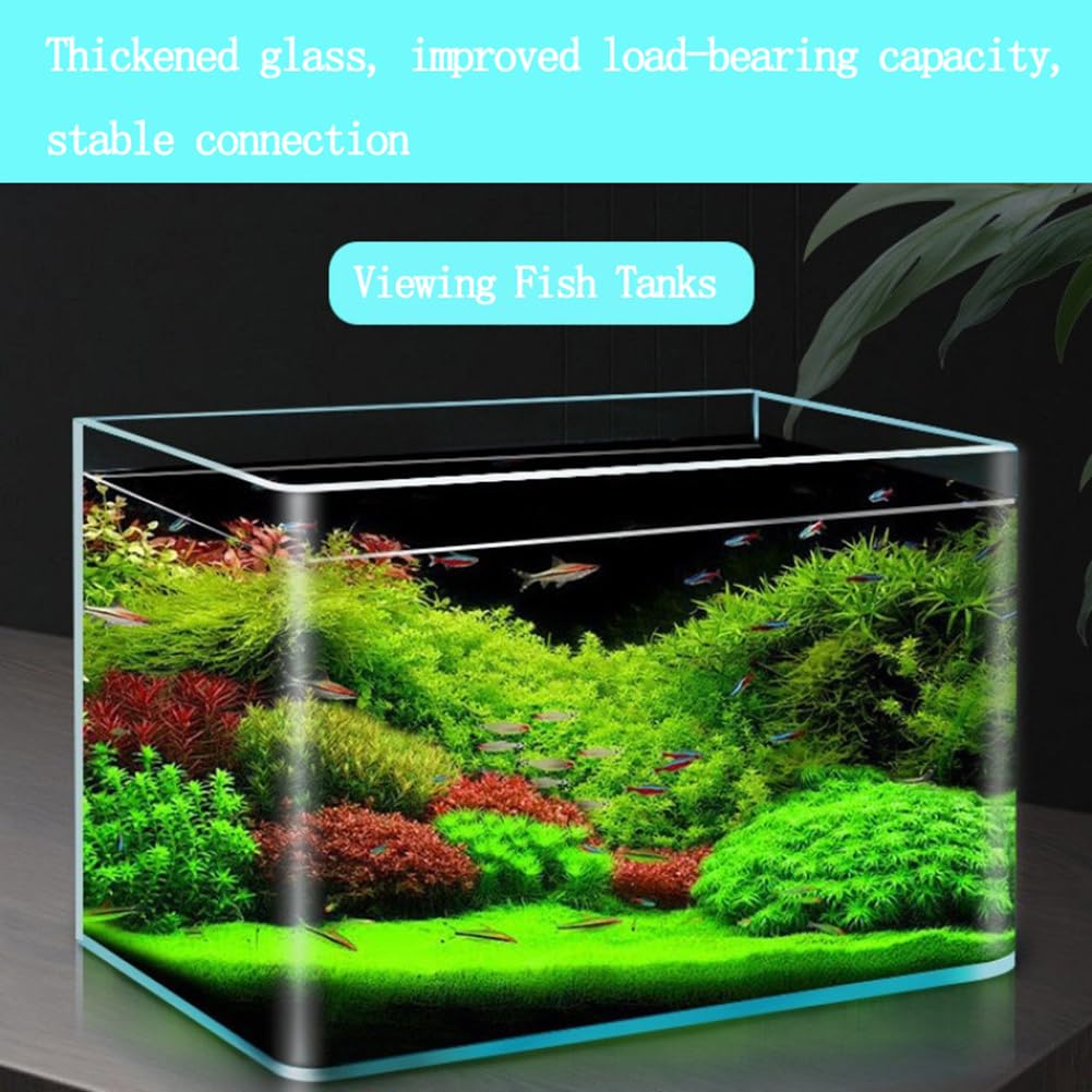 Hot Bending Fish Tank,Rimless Tank, 6 Gallon Aquarium Fish Tank