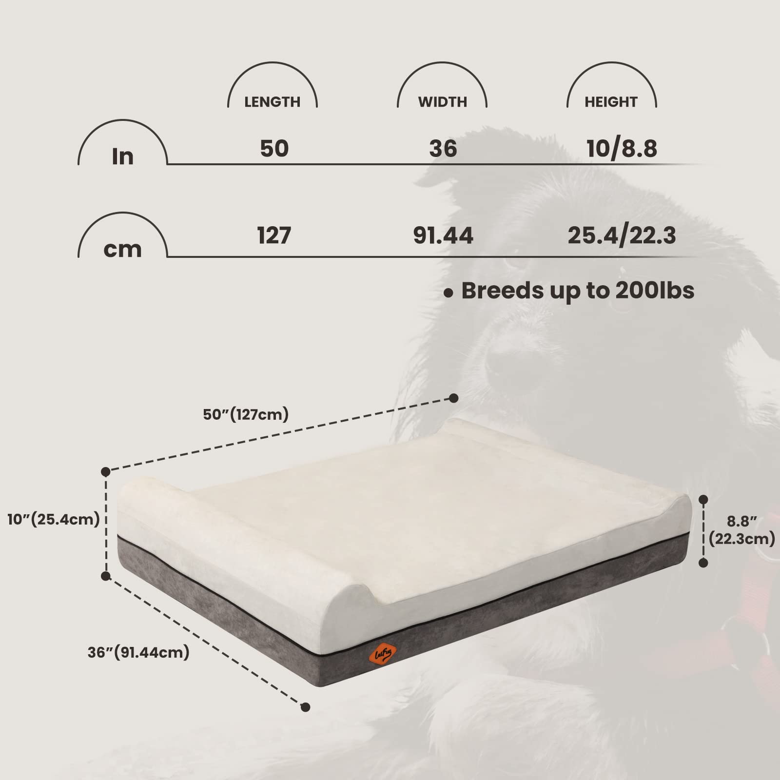 Laifug Orthopedic Memory Foam Dog Bed Extra Large Dog Bed With Pillow And Durable Water Proof Liner & Removable Washable Cover &