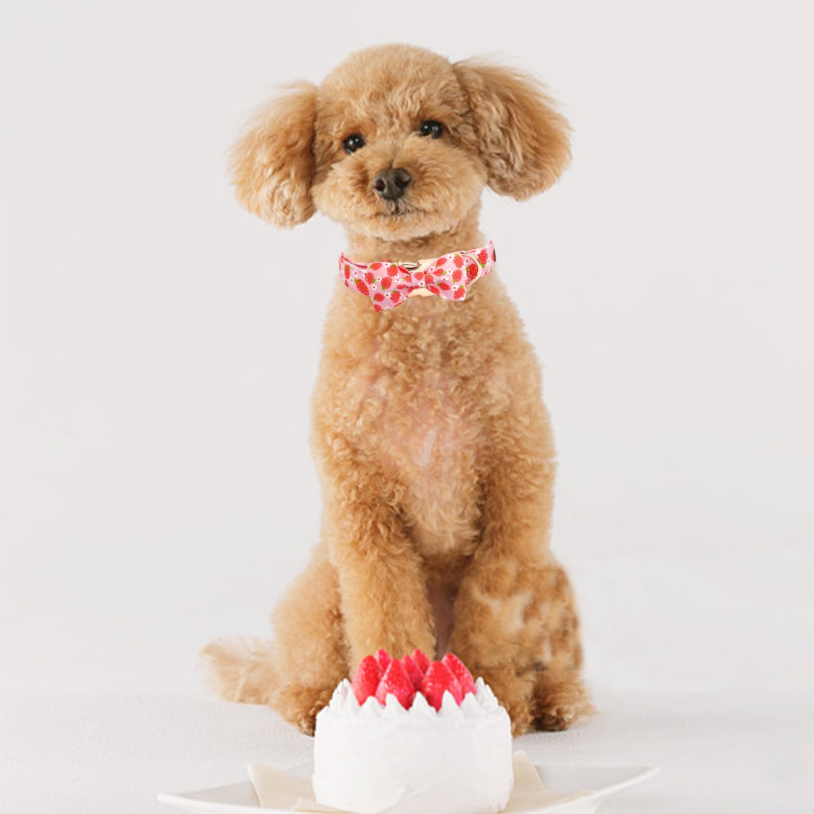 Elegant Little Tail Dog Collar, Spring Dog Collar With Bow Strawberry Print Cotton Soft Female Pet Collar Bowtie Floral Dog Coll