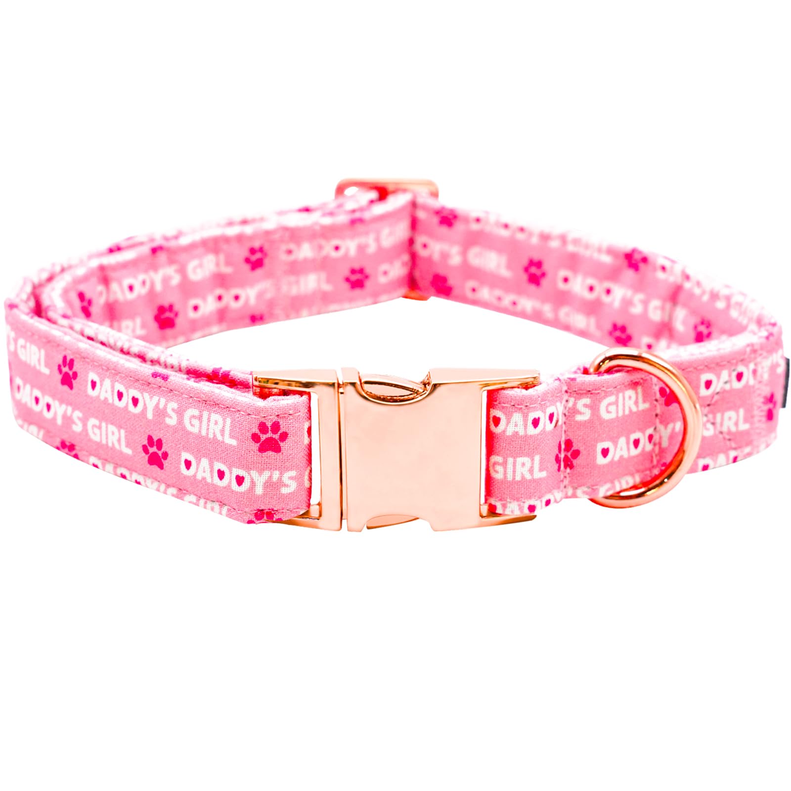 Lionheart Glory Valentine Collar, Pink Red Hearts Dog Collars For Large Cute Dog Collars Spring Female Pet Gift Adjustable Heavy