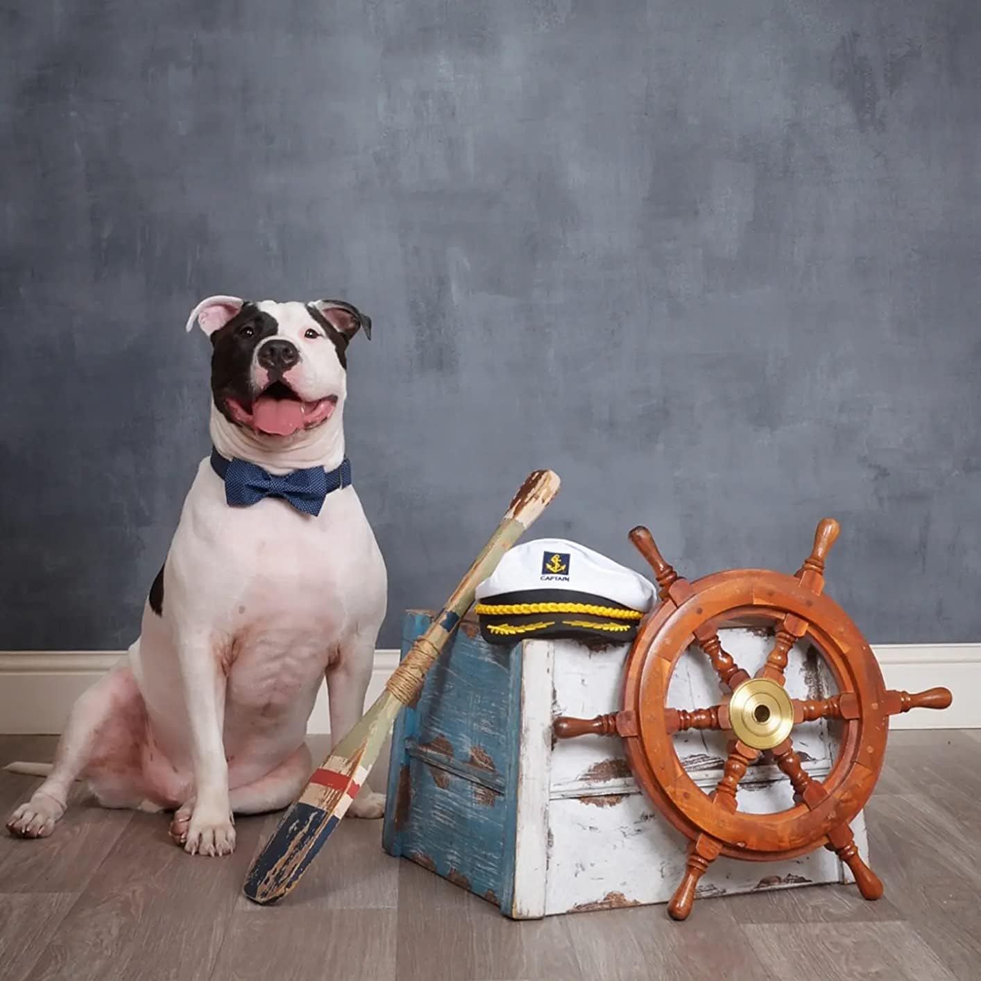 Lionet Paws Boy Dog Collar With Bowtie, Comfortable Adjustable Cute Navy Blue Bow Tie Collar For Male Dogs Gift, Large, Neck 16-