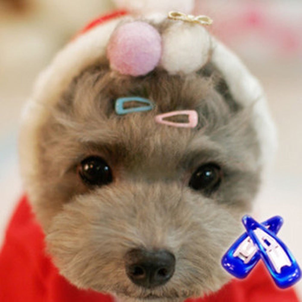 Pet Show Cute 0.9' Waterdrop Small Snap Hair Clips Pet Grooming Products Dog Cat Puppy Short Hair Accessories Random Color Pack Of 20