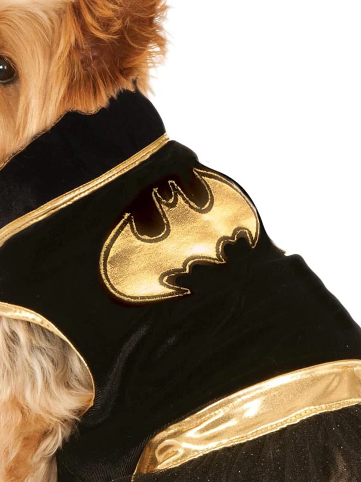 Rubie'S Dc Comics Batgirl Pet Tutu Dress, X-Large