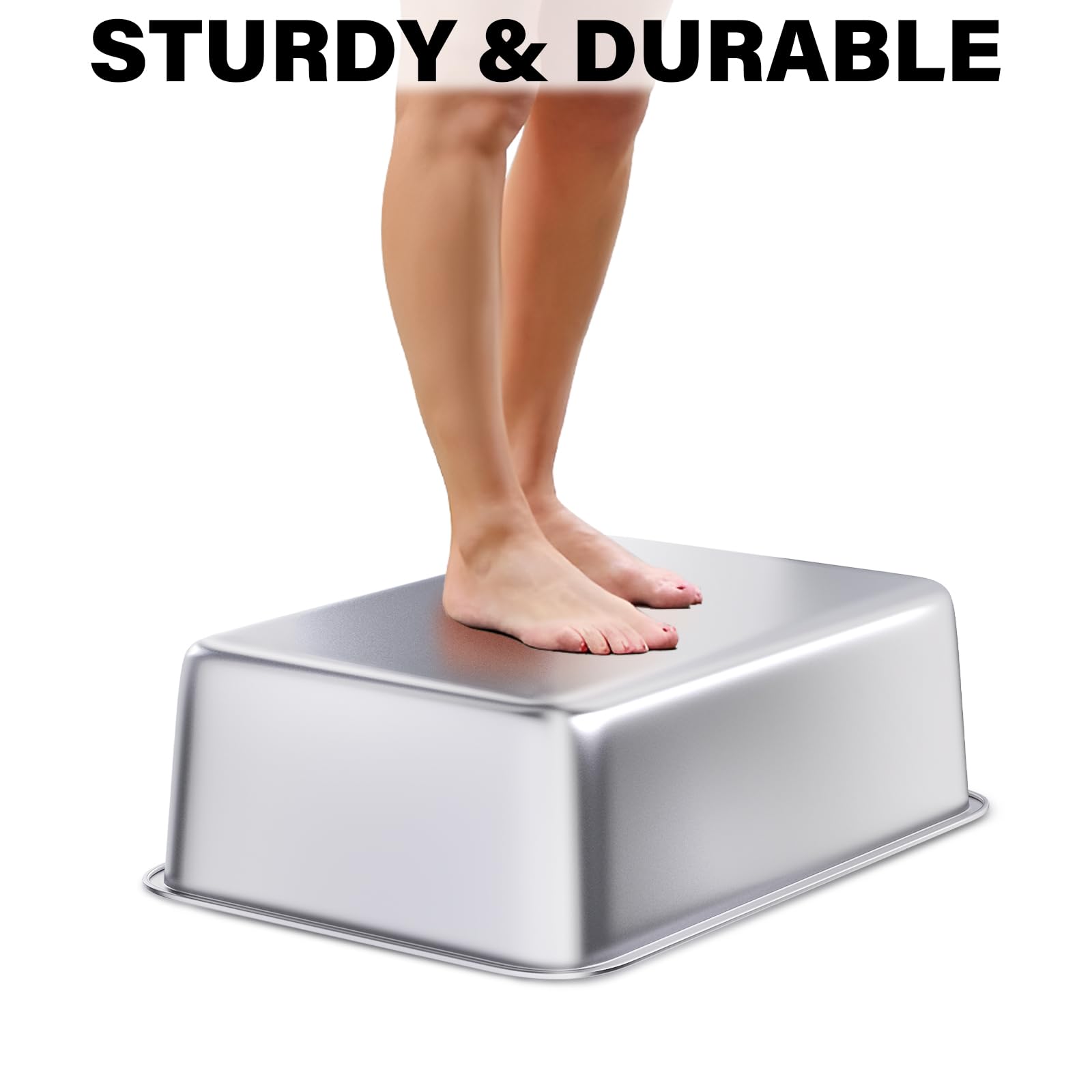 Nyutu Stainless Steel Litter Box, 20''X14''X6''(Deep) High Sided Large Metal Litter Boxes Easy Clean, Non Stick No Smell Cat Lit