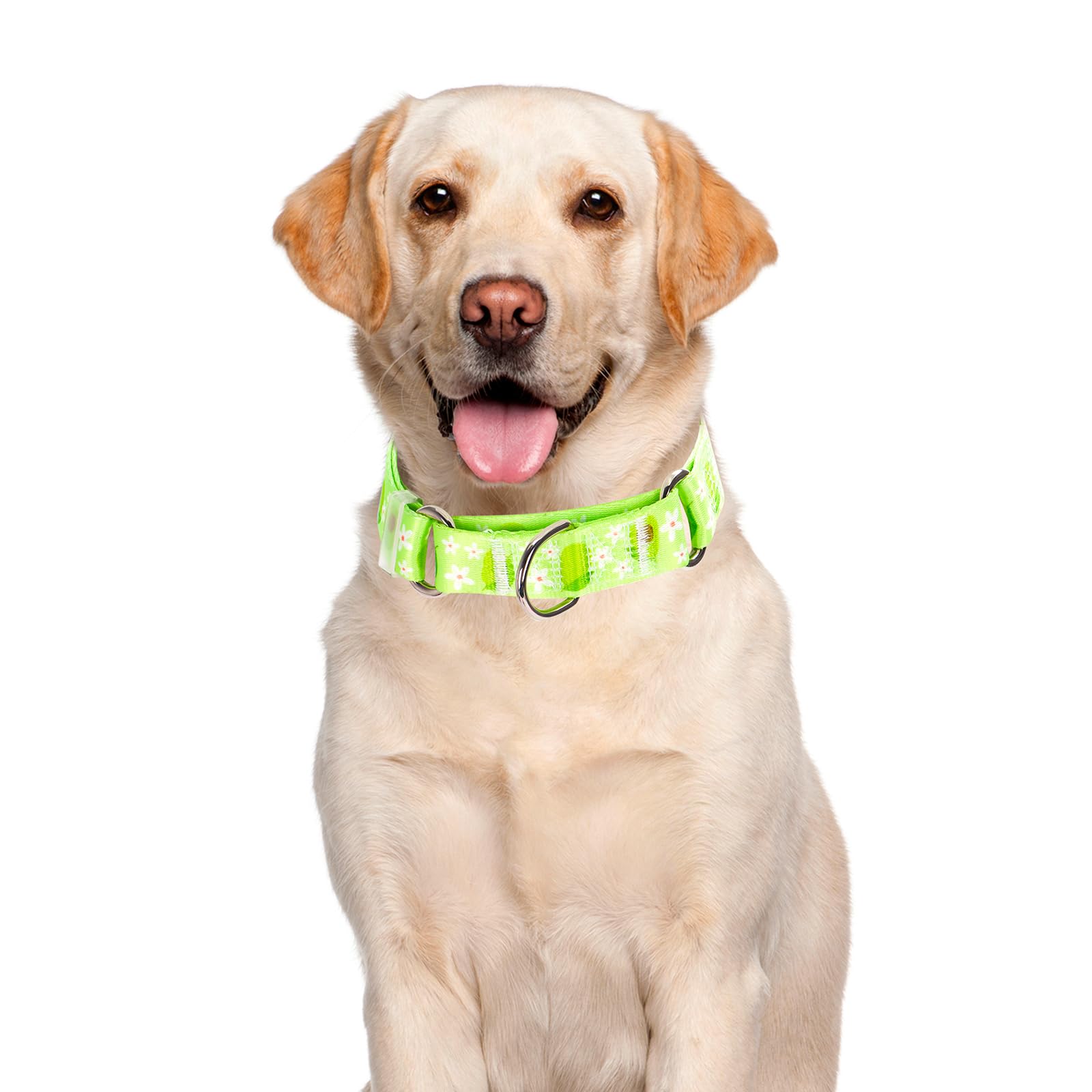 Green Avocado Martingale Dog Collar For Dogs, Premium No Slip Collar, Adjustable Martingale Collar For Small Medium Large Dogs G