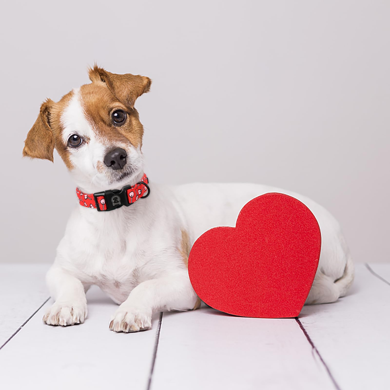 Mr. Chubbyface Valentines Dog Collar,Red Love Heart Cotton Dog Collar, Adjustable Valentine Girl Female Male Pet Collars With Qu