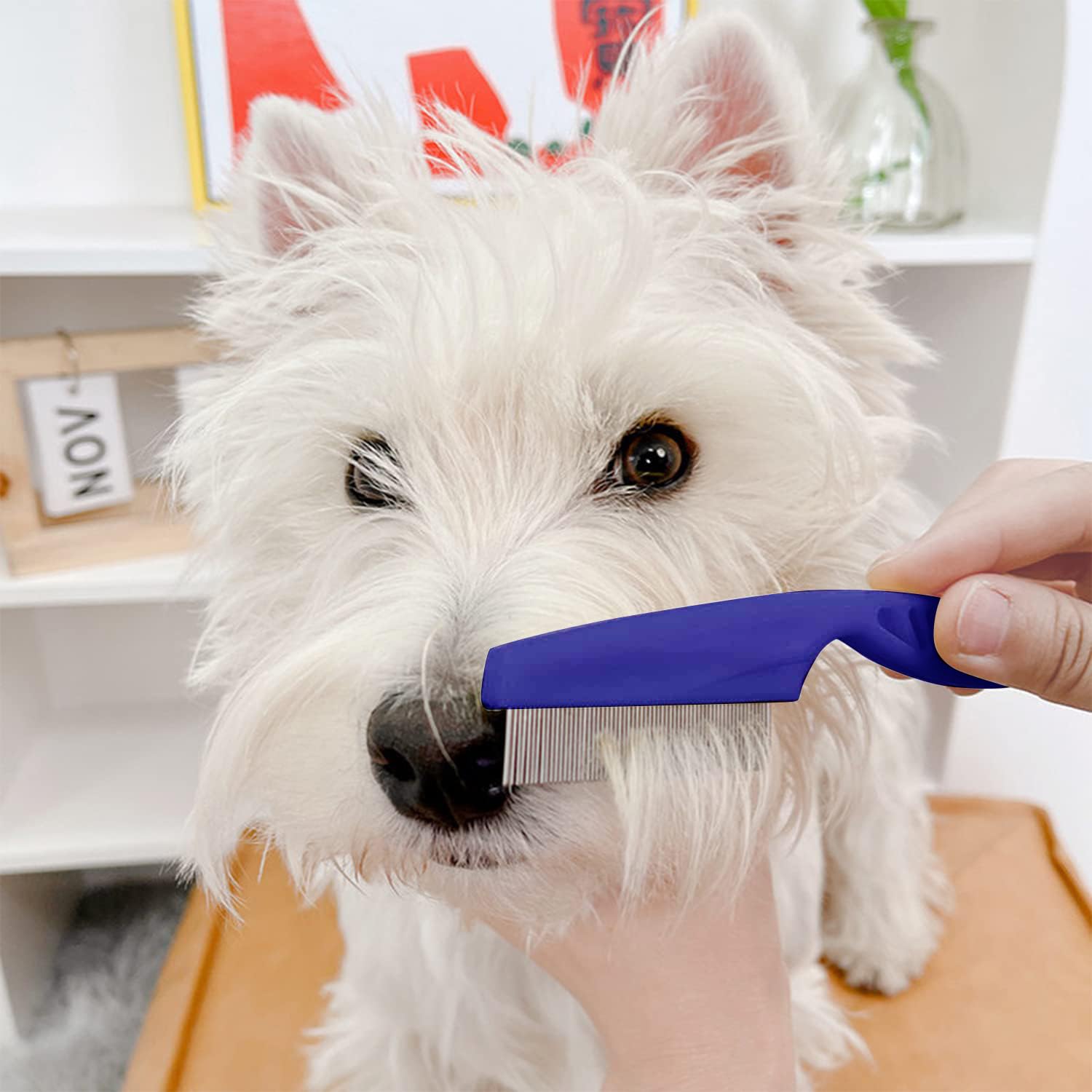 Kopal Flea Combs & Lice Combs For Dogs And Cats, Fine Tooth 3-Pc, Blue