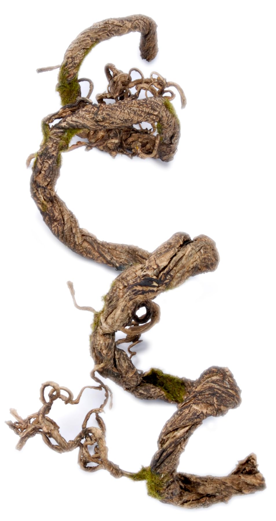 Penn-Plax Flexible Climbing Vines for Reptiles and Amphibians | Multiple Options| Great for Any Terrarium Decor (5 Brown)