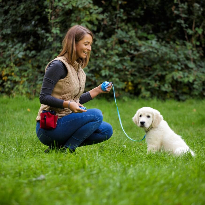 Company of Animals Treat Bag, Red, Zipped Pockets & Drawstring, Clips on Belt, Waistband or Pocket, Waterproof Treats Pouch, Ide