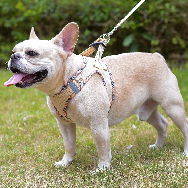 Dog Harness and Leash Set, No Pull Adjustable Reflective Pet Harness for Small Medium Dogs, Step in Vest Harness Easy Walk Dog H