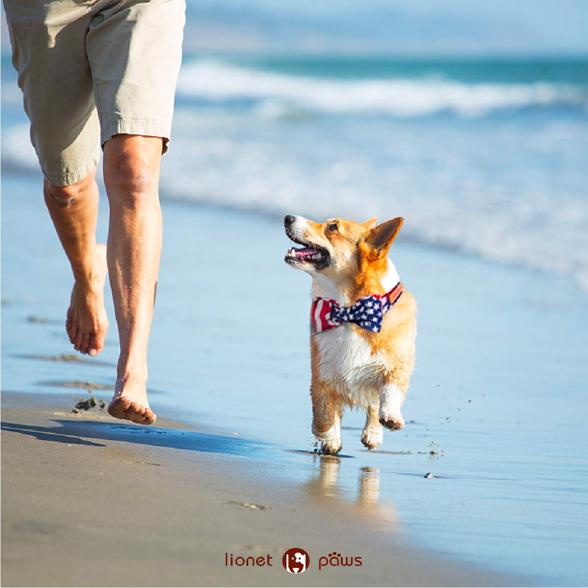 Lionet Paws Patriotic Dog And Cat Collar With Bowtie, 4Th Of July, Soft And Comfortable, Adjustable Collar For Puppies And Cats,