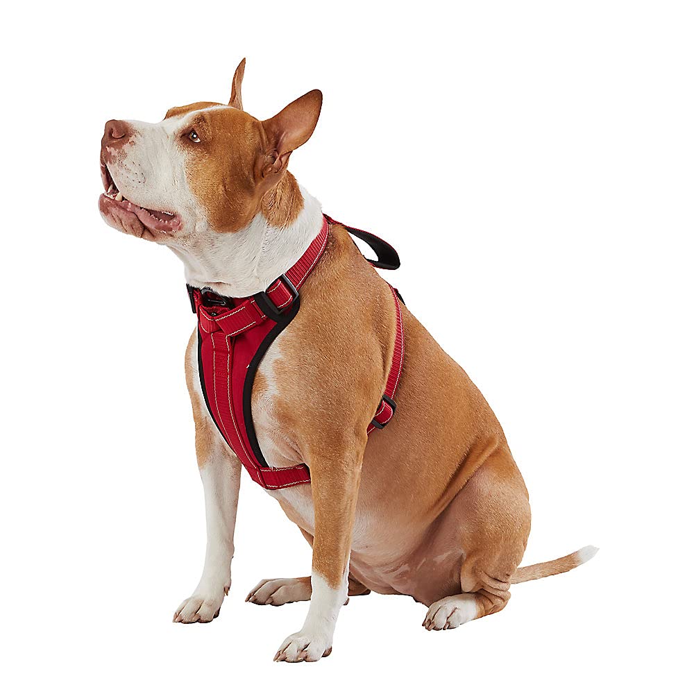Kong Max Ultra Durable Neoprene Padded Chest Plate Dog Harness Offered By The Barker Company (Red, Small)