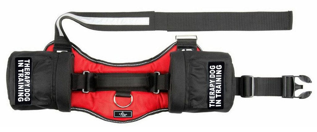 Therapy Dog In Training Harness With Removable Saddle Bag Backpack Harness Carrier Traveling. 2 Removable Patches. Please Measure Dog Before Ordering.