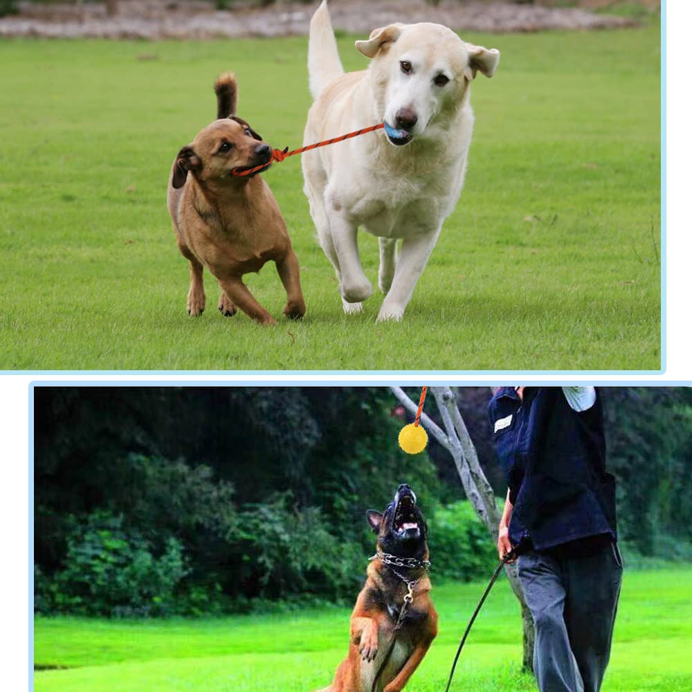 Nevperish 2 Pack Dog Ball, K9 Ball On Rope For Reward, Fetch, Play (6Cm)