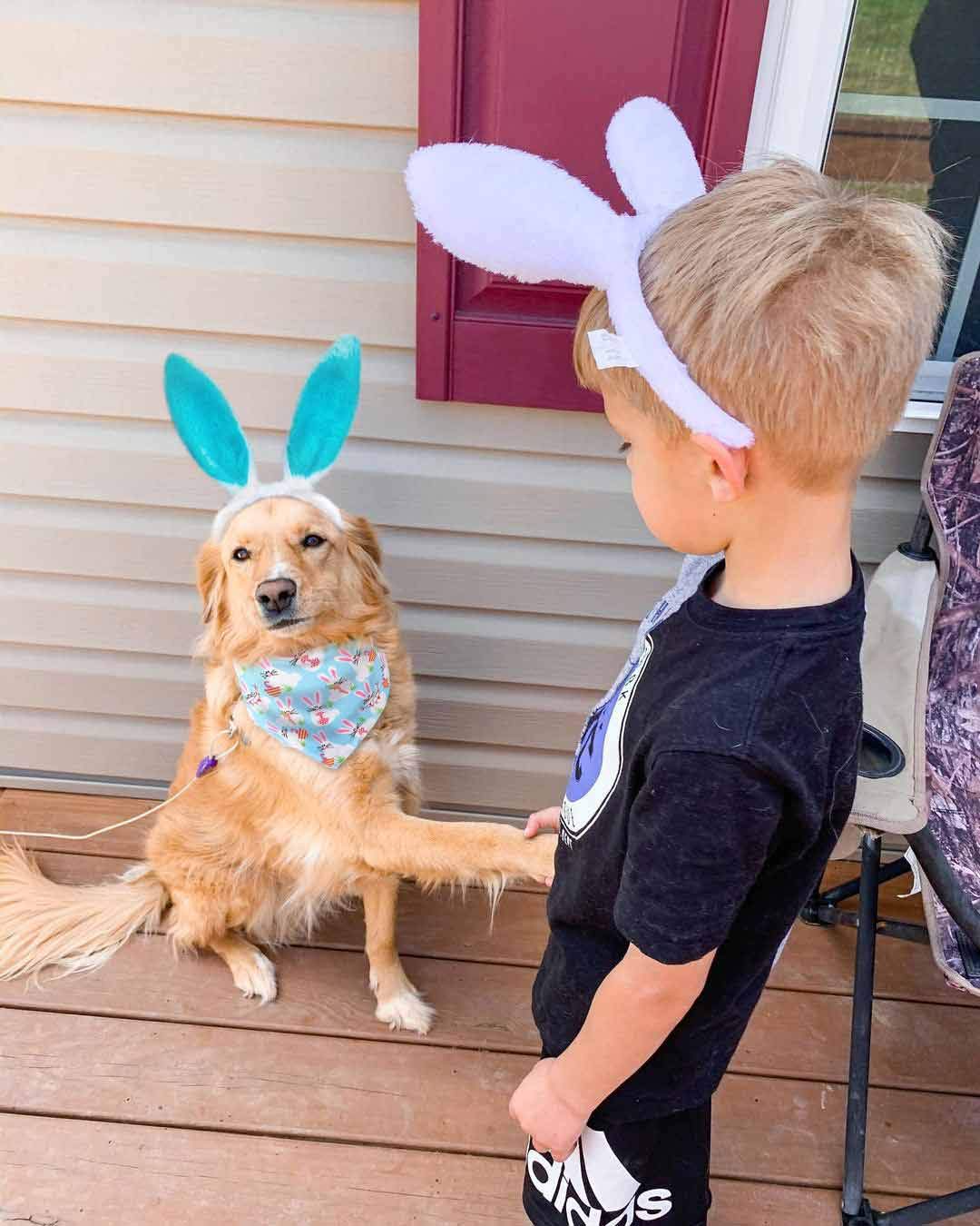 Dog Bunny Ears Headband And Pet Easter Bandana