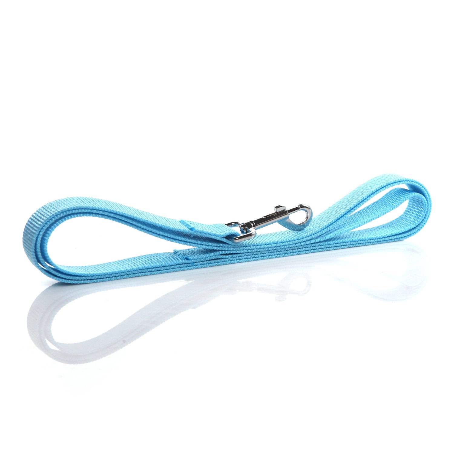 Nylon Dog Leash 4 Ft 5 Feet 6 Foot Long, Walking Training Dog Leashes For Medium Large Dogs, 1 Inch Wide(5Ft, Blue)