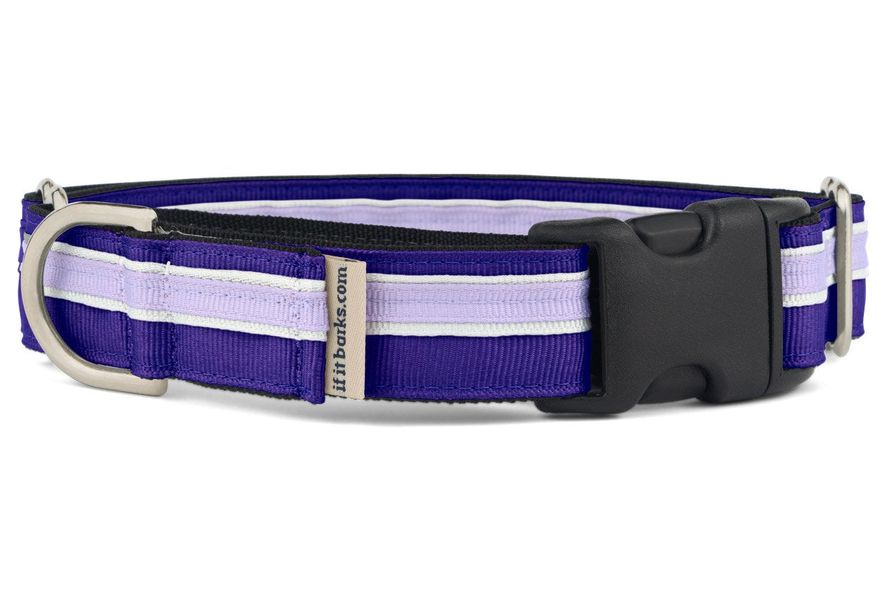 If It Barks 1'' Martingale Collar With Quick Snap Release Buckle, Adjustable, Usa Made, Medium, Grape Crush
