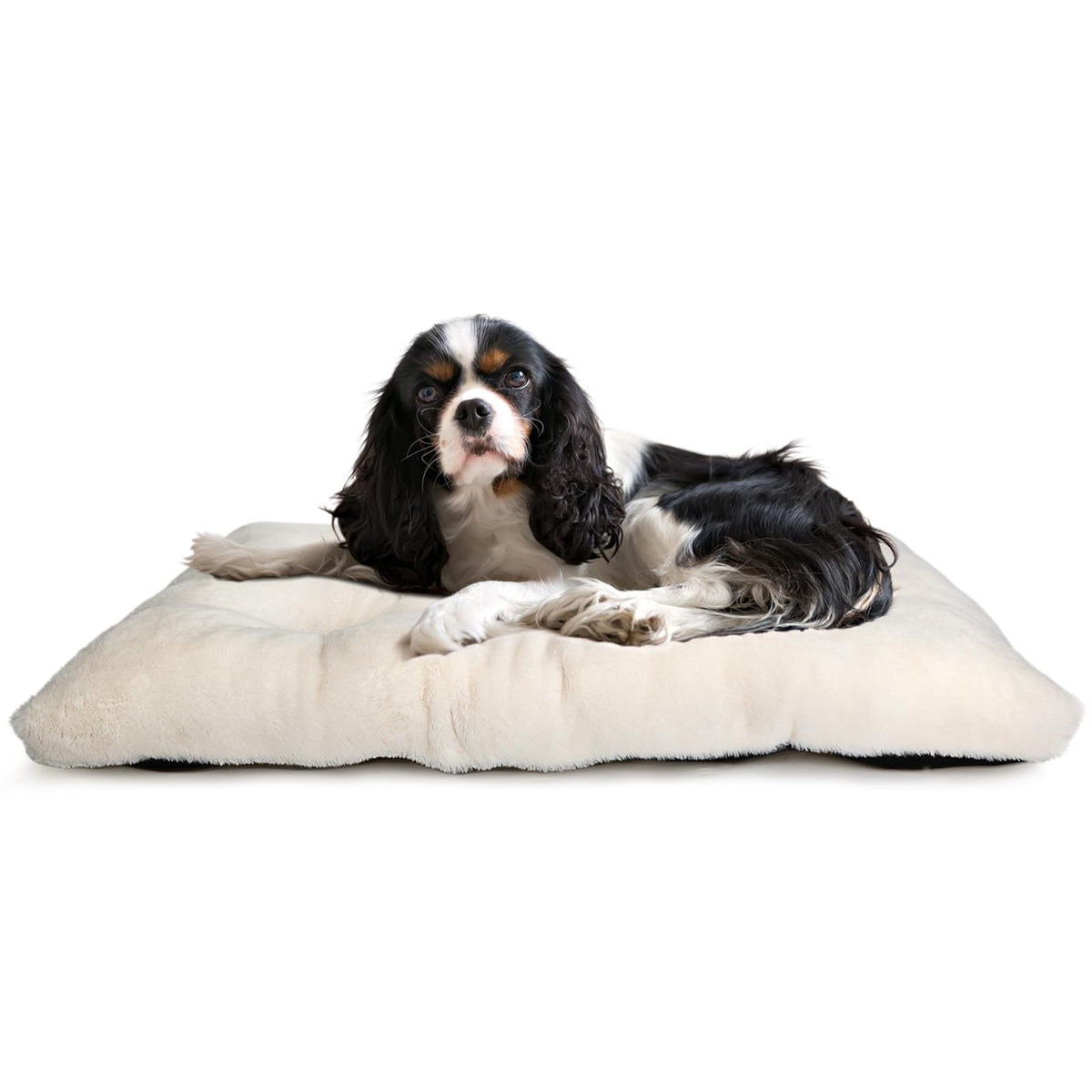 Dog Beds For Crates 30X19 Washable For Medium Size Dogs Soft 30 Inch Crate Pad For Kennel Or Cage With Anti-Slip Bottom Sleeping
