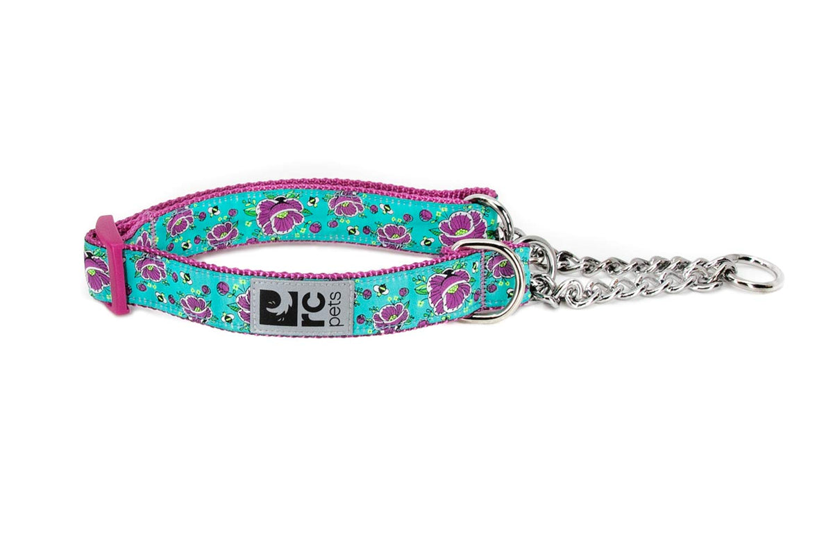 Rc Pets 3/4' Martingale Training Dog Collar, Small, All The Buzz