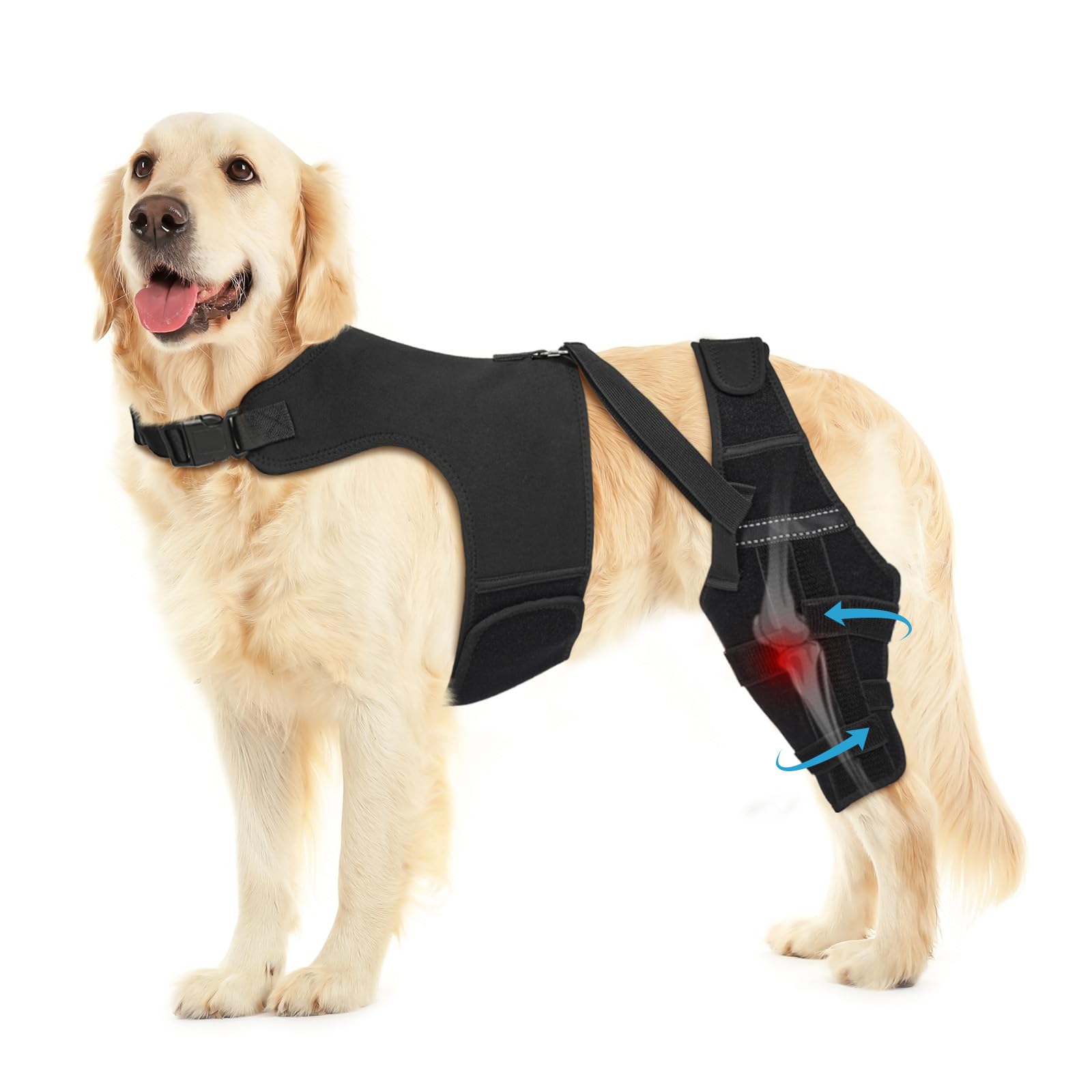 Pawfun Dog Knee Brace for Torn ACL Hind Leg, Adjustable Dog Leg Braces for Back Leg with 4 Metal Stabilizers Helps with Torn CCL