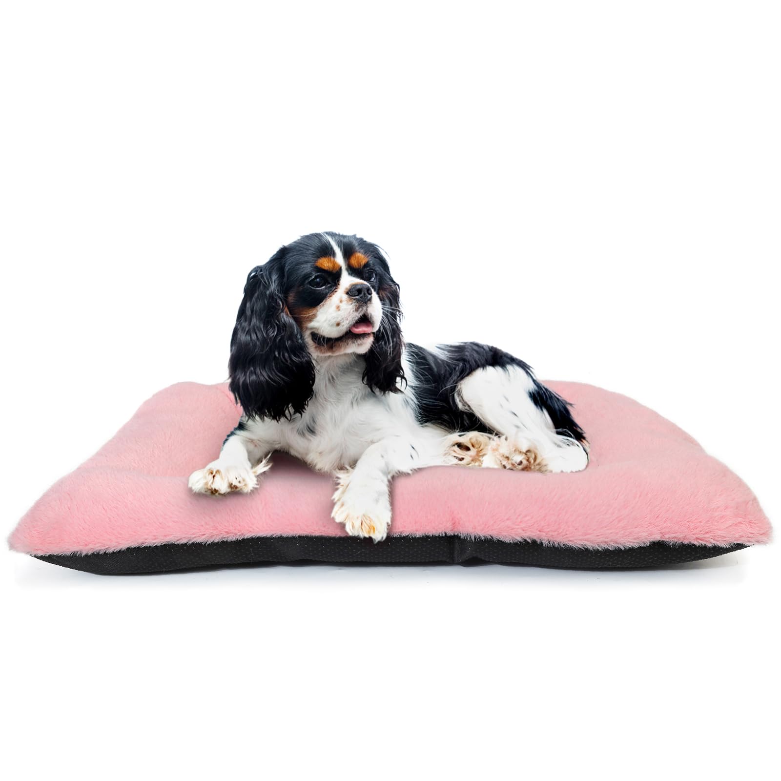 Puppy Crate Beds For Small Dogs And Cats Ultra Soft 24X18 Dog Bed For Crate Washable Cute Kennel Pad Cushion Anti-Slip For Pet C