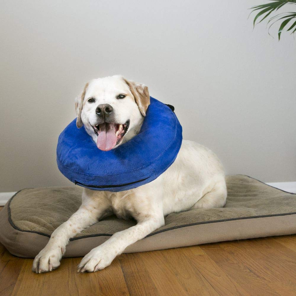 KONG - Cloud Collar - Plush, Inflatable E-Collar - For Injuries, Rashes and Post Surgery Recovery - For Extra Small Dogs/Cats
