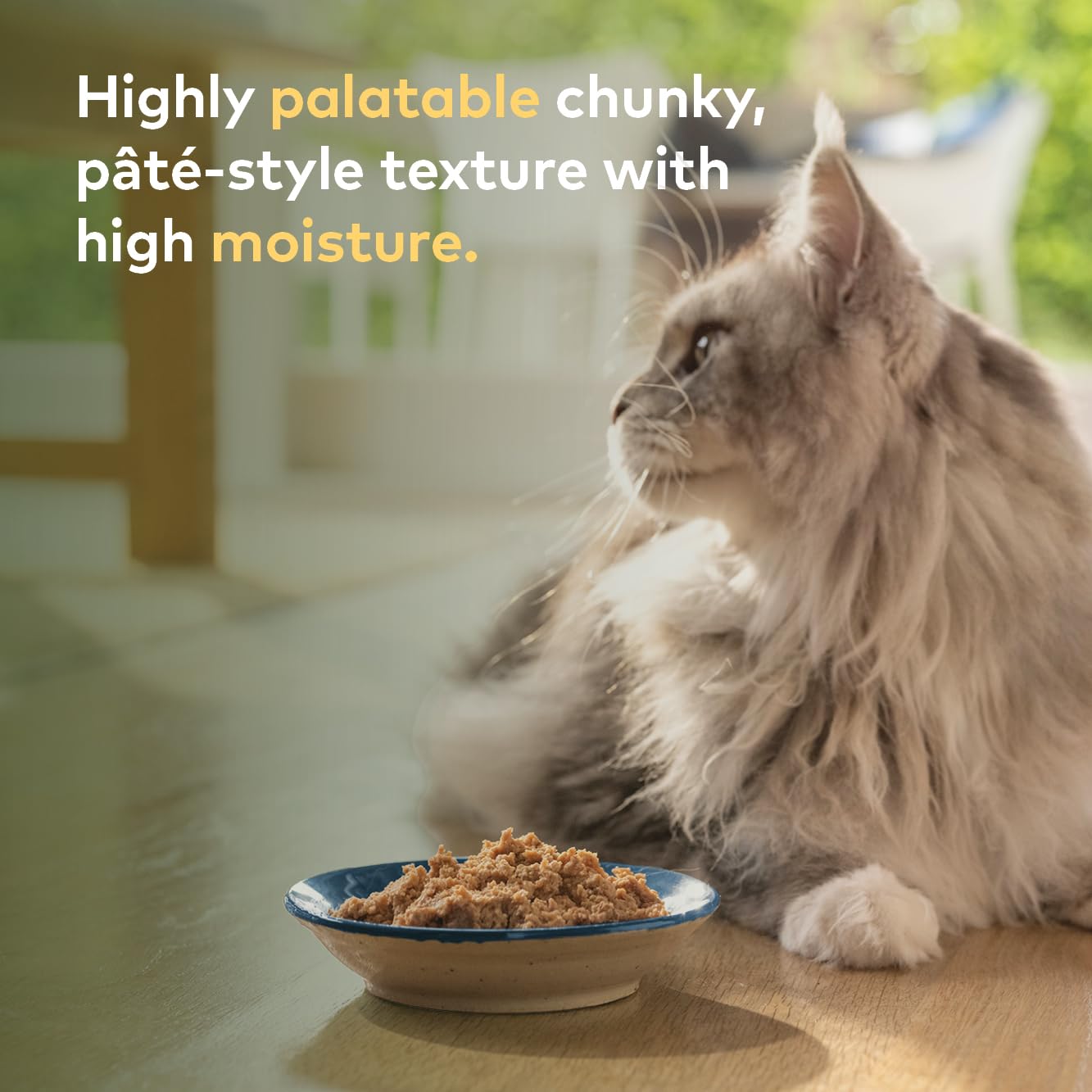 ZIWI Peak Canned Wet Cat Food - All Natural, High Protein, Grain Free, Limited Ingredient, with Superfoods (Beef), 6.5 Ounce (Pa