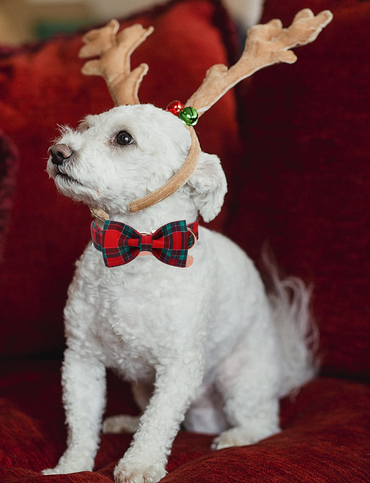 Dogwong Christmas Dog Collar With Bow Tie, Red Plaid Dog Collar Soft Durable Adjustable Cotton Red Green Tartan Puppy Collar For