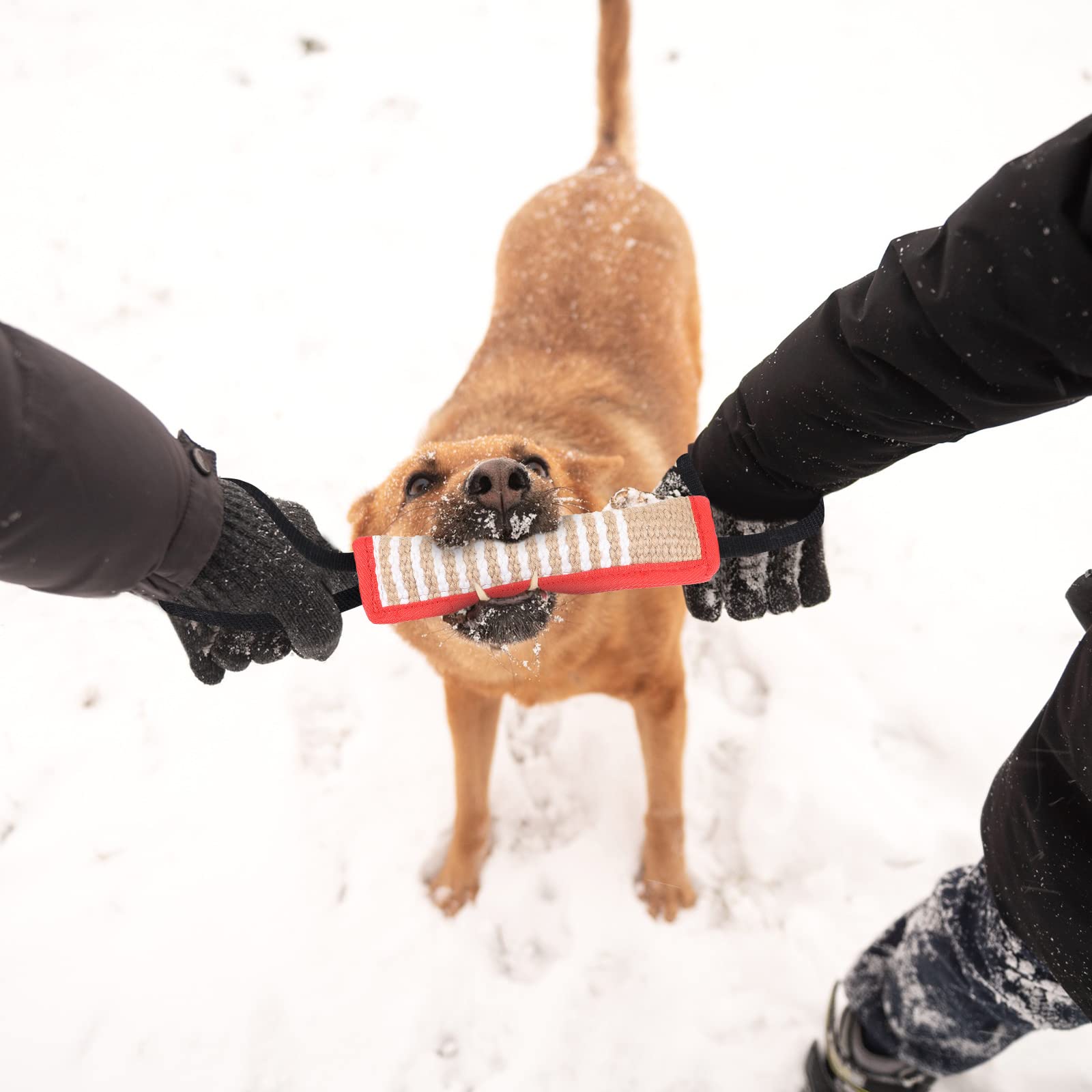 Amylove 2 Pcs Dog Tug Toy, Tug Of War Dog Toy, Tough Jute Dog Fight Pillow With 2 Handles For Small Medium Large Dogs Puppy Training Interactive Play