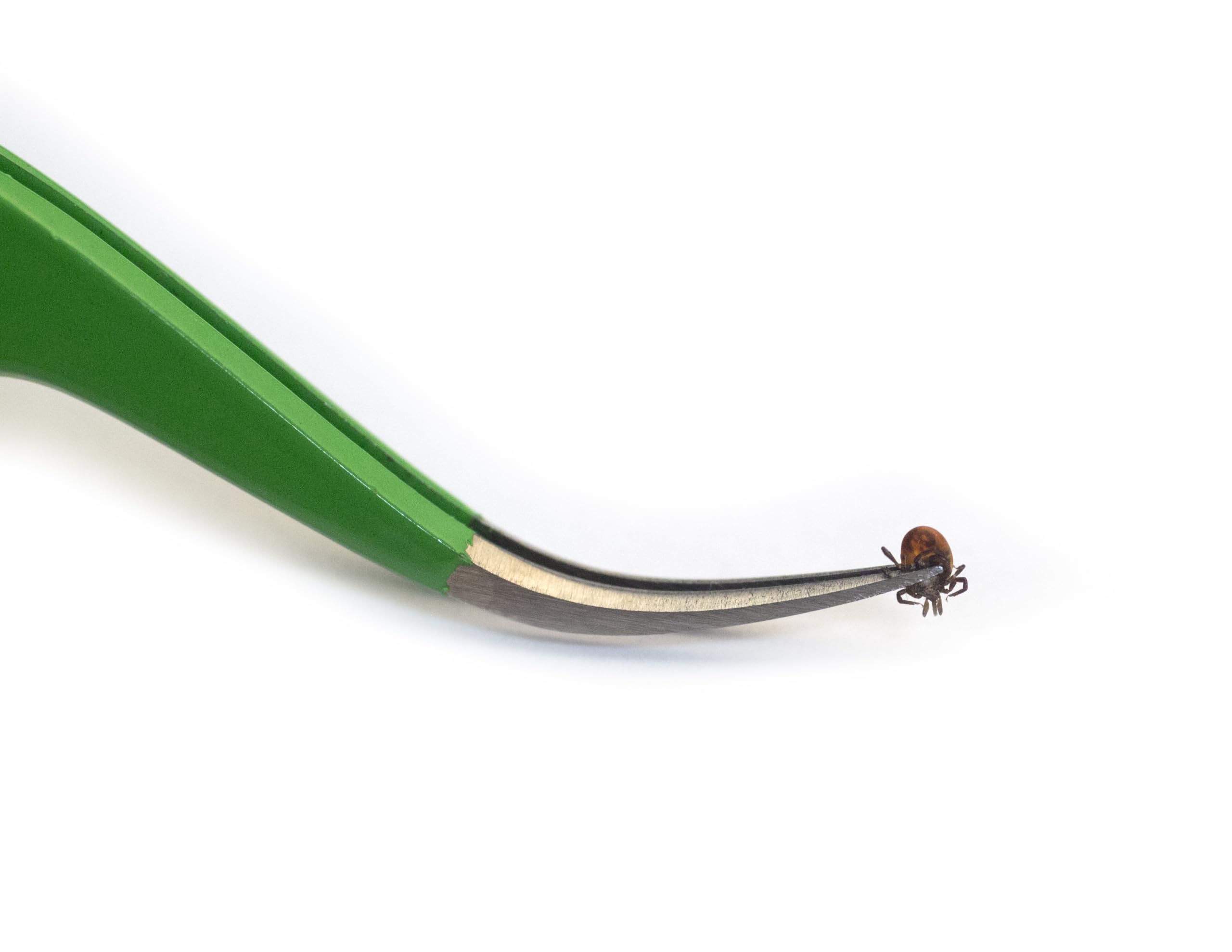 Tickcheck Premium Tick Remover Kit - Stainless Steel Tick Remover + Tweezers, Leather Case, And Free Pocket Tick Identification