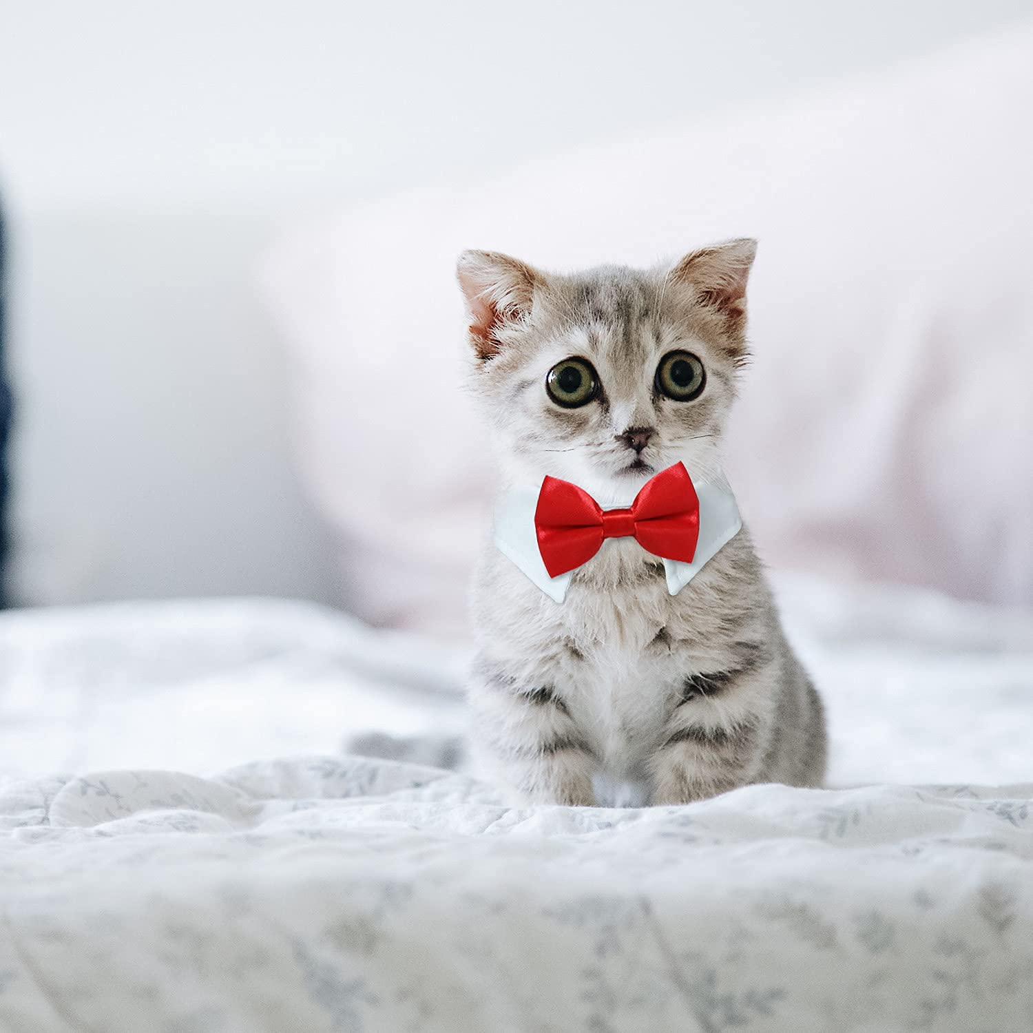 Cat Tuxedo Collar, Koolmox Black Dog Bow Tie With Handcrafted Adjustable Suit White Collar, Formal Puppy Bow Tie Tux Collar For Small Boy Pets Weddings Birthday Easter Photography Grooming Bows