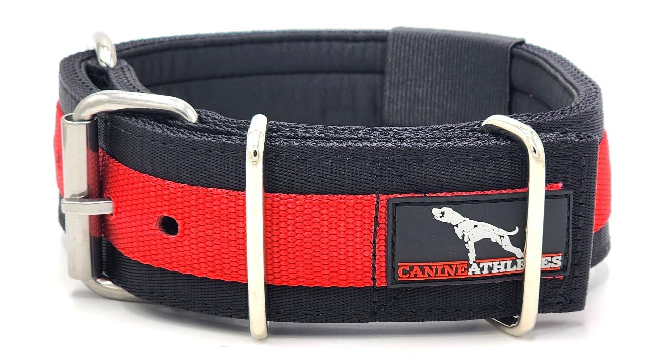 Canine Athletes 2'' Wide Elite Max V2 Neoprene Padded Thick Working Dog Collar For Strong Dogs (Small)