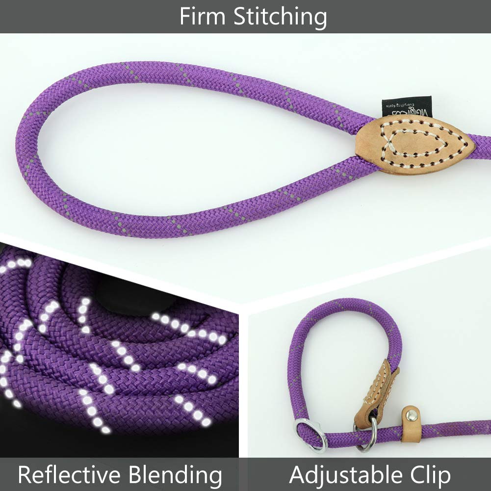 Grand Line Slip Lead Dog Leash, 5Ft Reflective Slip Rope, Puppy Training Walking Controlling Lead, Slip Collar Pet Leash For Small, Medium, Large Dogs (Purple, Medium-2/5In X 5Ft)
