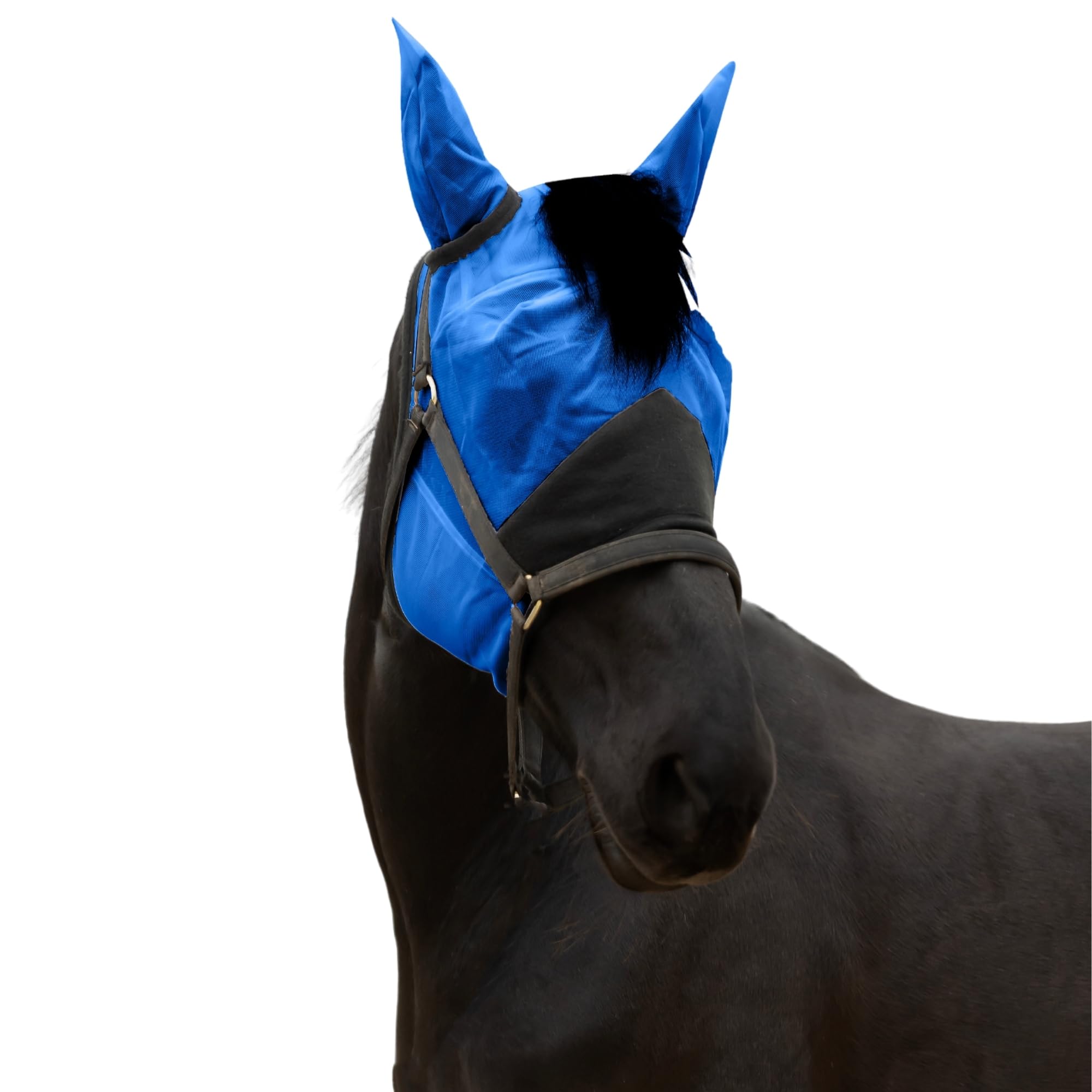 RESISTANCE Premium Horse Fly Mask with Ears and Fine Mesh - Ultimate Insect Defense - UV Fly Mask for Horses - Secure Fit and Ma