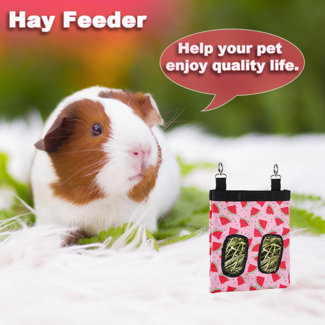 Dzwlkj Guinea Pig Hay Feeder, 2 Pack, 11 X 9 X 1(S) / 13 X 11 X 2(M) Inches, Lightweight, Foldable, Watermelon