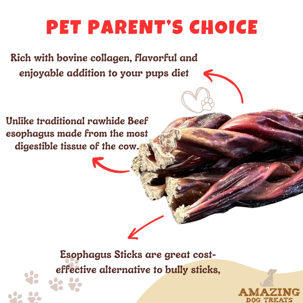 Amazing Dog Treats - 6 Inch Braided Gullet Stick (8 Pc/Pack) - Beef Esophagus Dog Treats