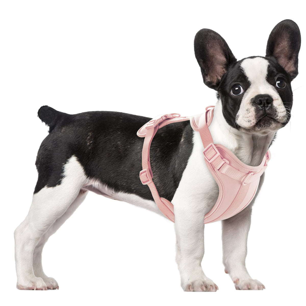 Wisedog No Pull Lightweight Dog Vest Harness With Soft And Comfortable Cushion, Breathable Mesh, For Small Medium Large Dogs Walking (M(Neck: 11.81'-18.11';Chest: 18.11'-27.95'), Gossamer Pink)