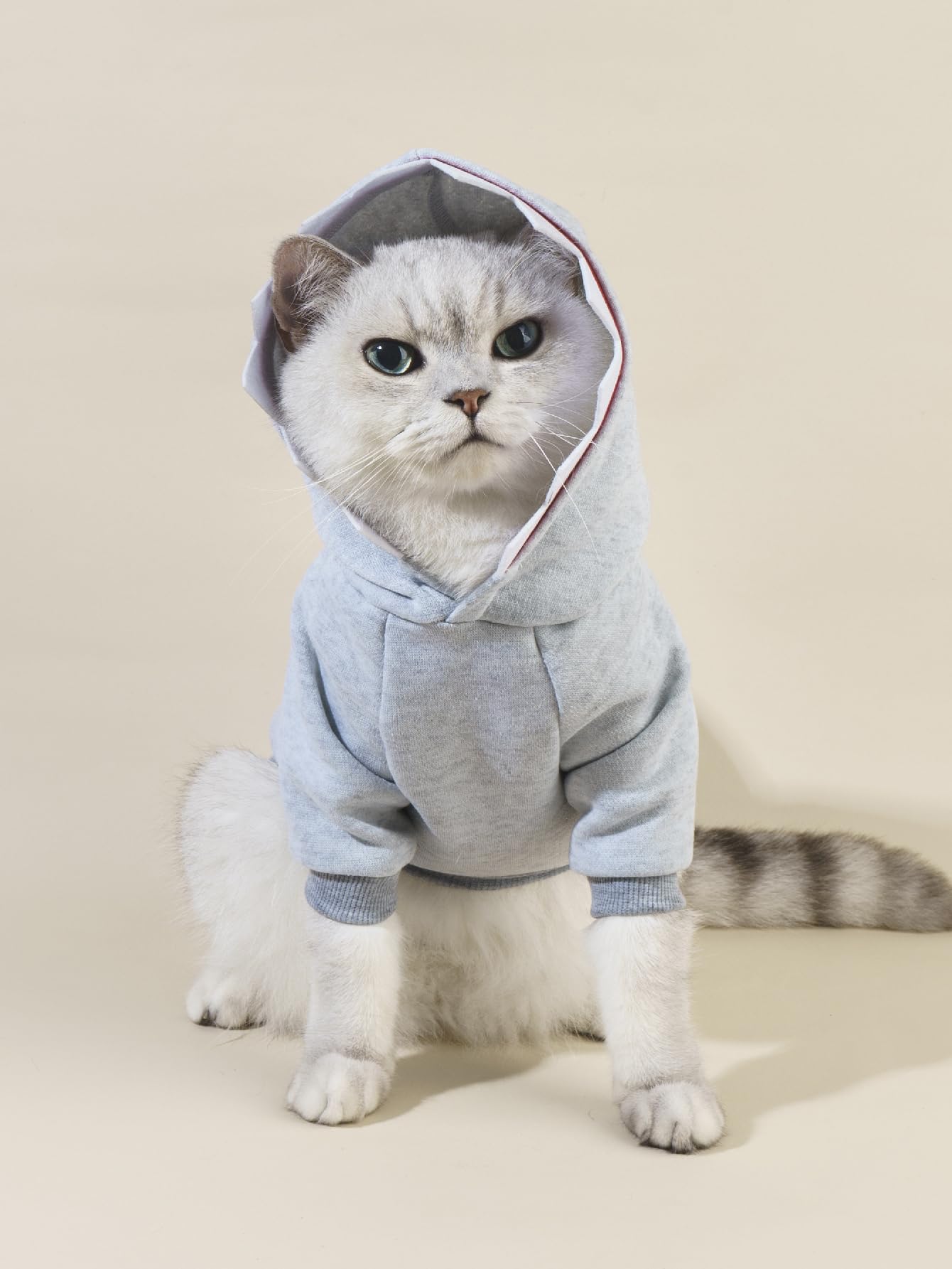 Qwinee Shark Dog Hoodie Dog Warm Jacket Coat Puppy Sweatshirt Christmas Halloween Dog Costume Cosplay Winter Dog Clothes Pet Apparel For Small Medium Dogs Cats Kitten Grey Xs