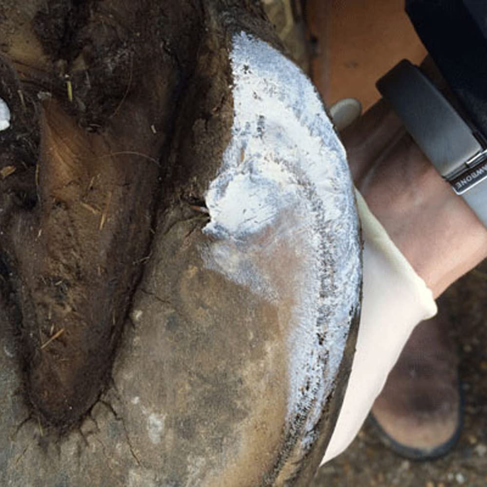 Red Horse Products Artimud Hoof Clay 300g - Essential Hoof Care for Horses, Promotes Healthy Hoof Growth and Protection