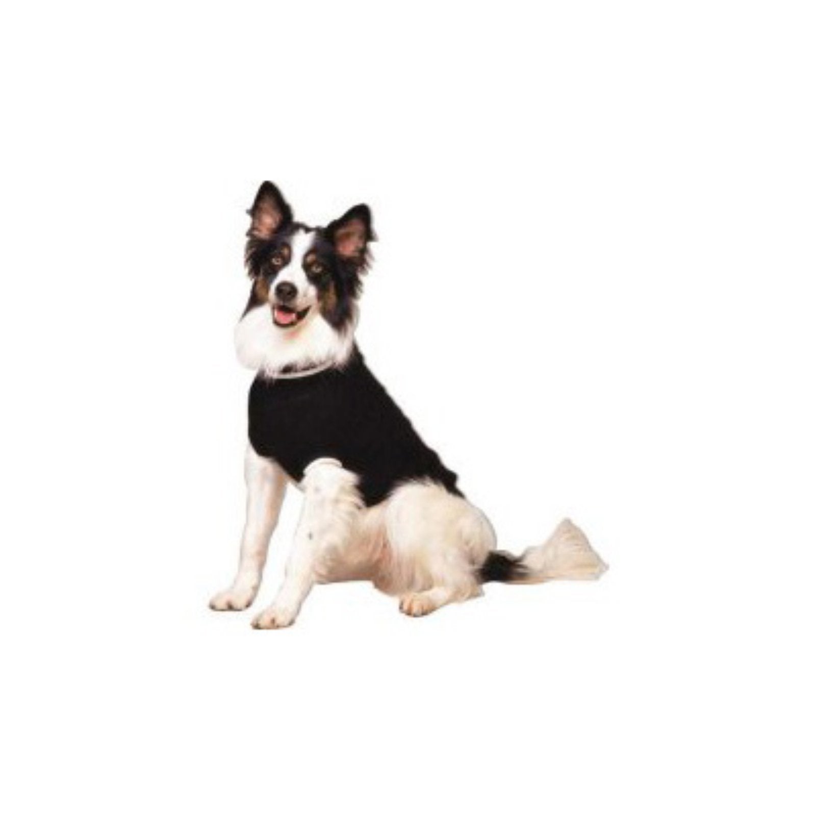 Ethical Pet Classic Cable Dog Sweater Size: X-Small, Color: Red