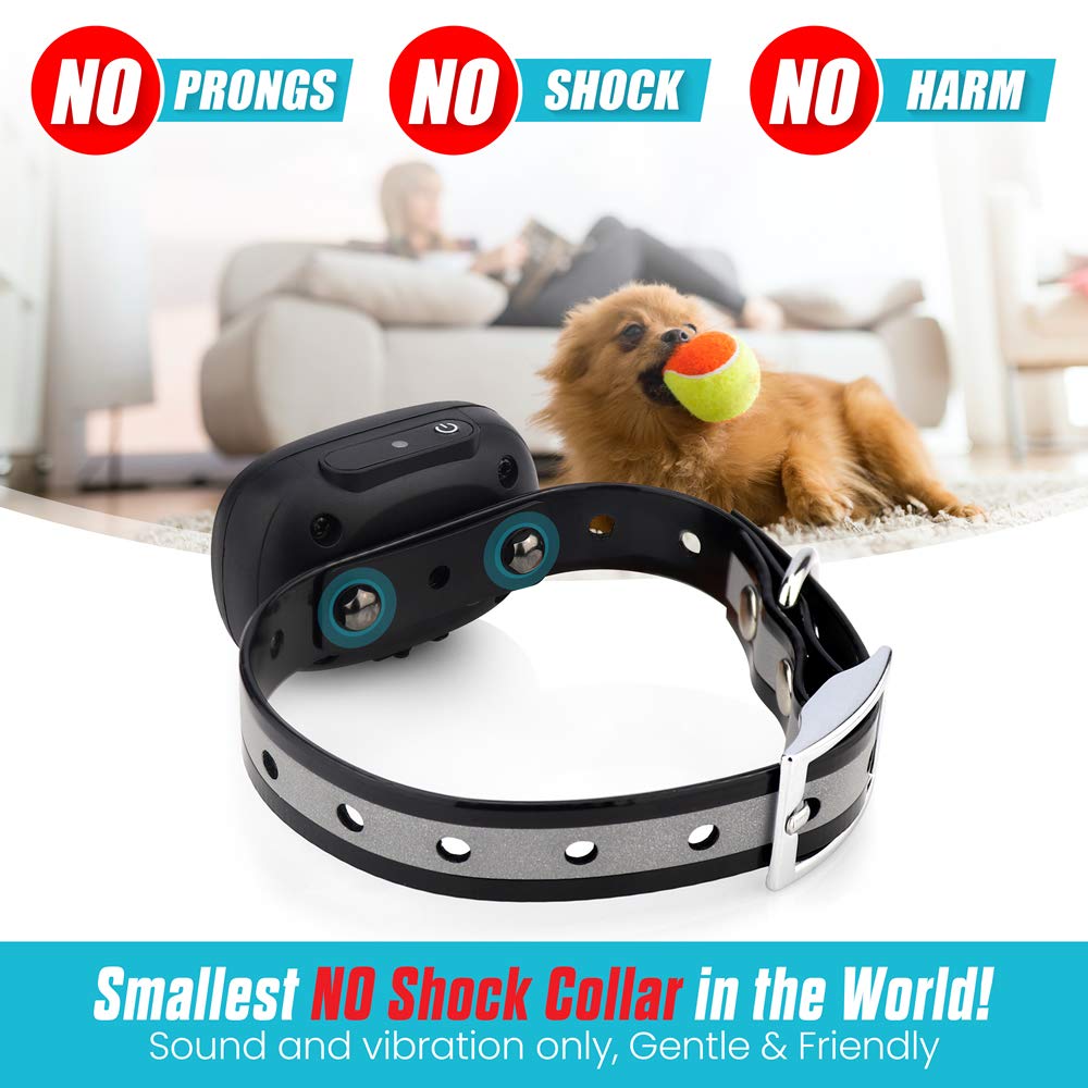 eXuby Vibrating Dog Collar - No Shock Training Collar for Small Dogs (5-15 lbs) - Blue - 1,000 FT Range - Long Lasting Battery Life