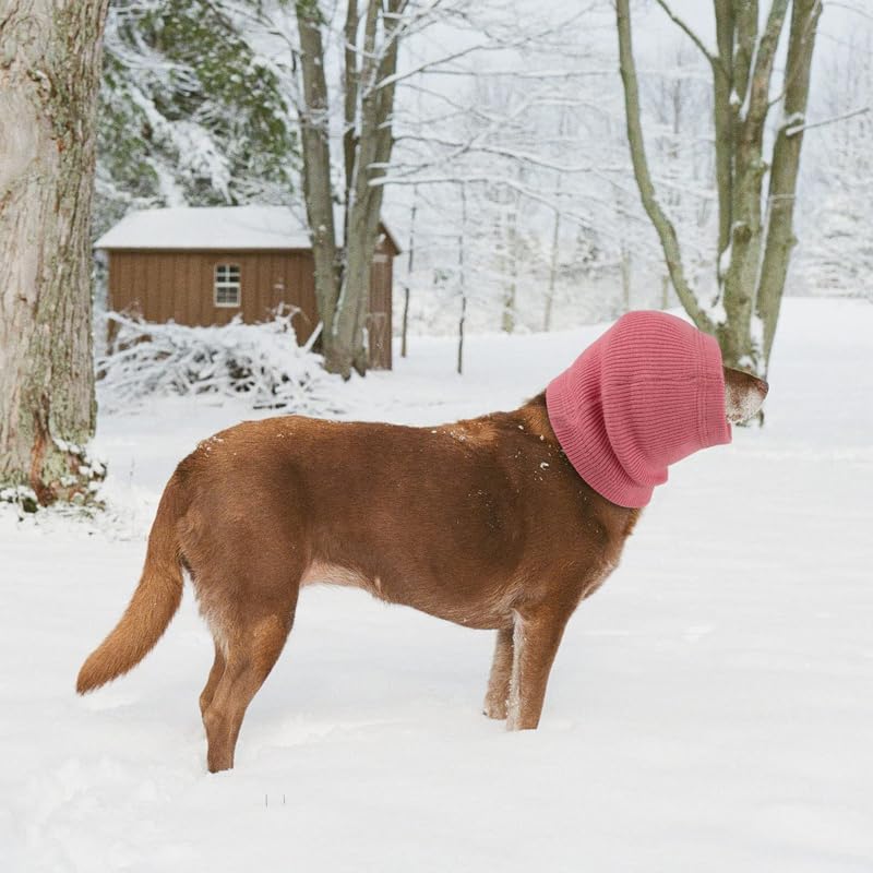 DDFS Dog Ear Cover Hematoma Snood Protection Dog Ear Covers for Noise Wine+Blue-L