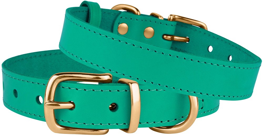 Bronzedog Leather Dog Collar With Qr Id Tag Basic Pet Collars For Small Mini Dogs Cats Puppies (7-9 Inch (Pack Of 1), Green & Gold Buckle)