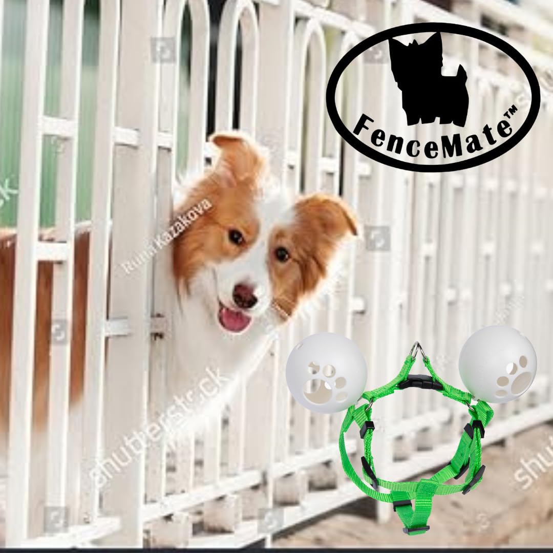 FenceMate Dog Harness to Keep Your Pets On The Safe Side of The Fence-Dog Safety Harness (Small) Fits Chest 12-16 (Measure Girth