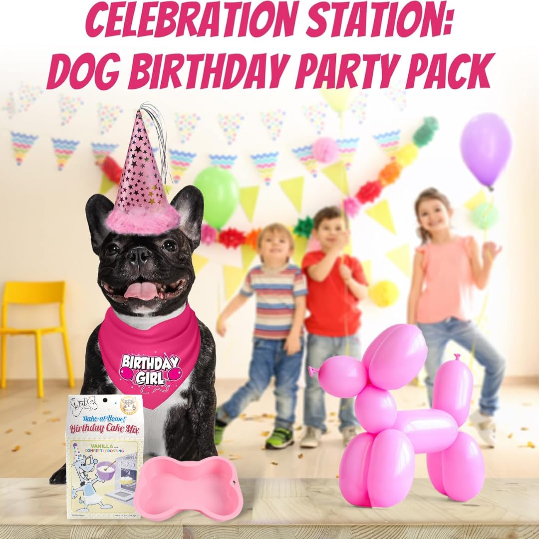 Jt Pet Dog Birthday Girl Party Pack With Bandana, Star Spangled Party Hat With Adjustable Elastic, Tassels And Feathery Trim, Bi