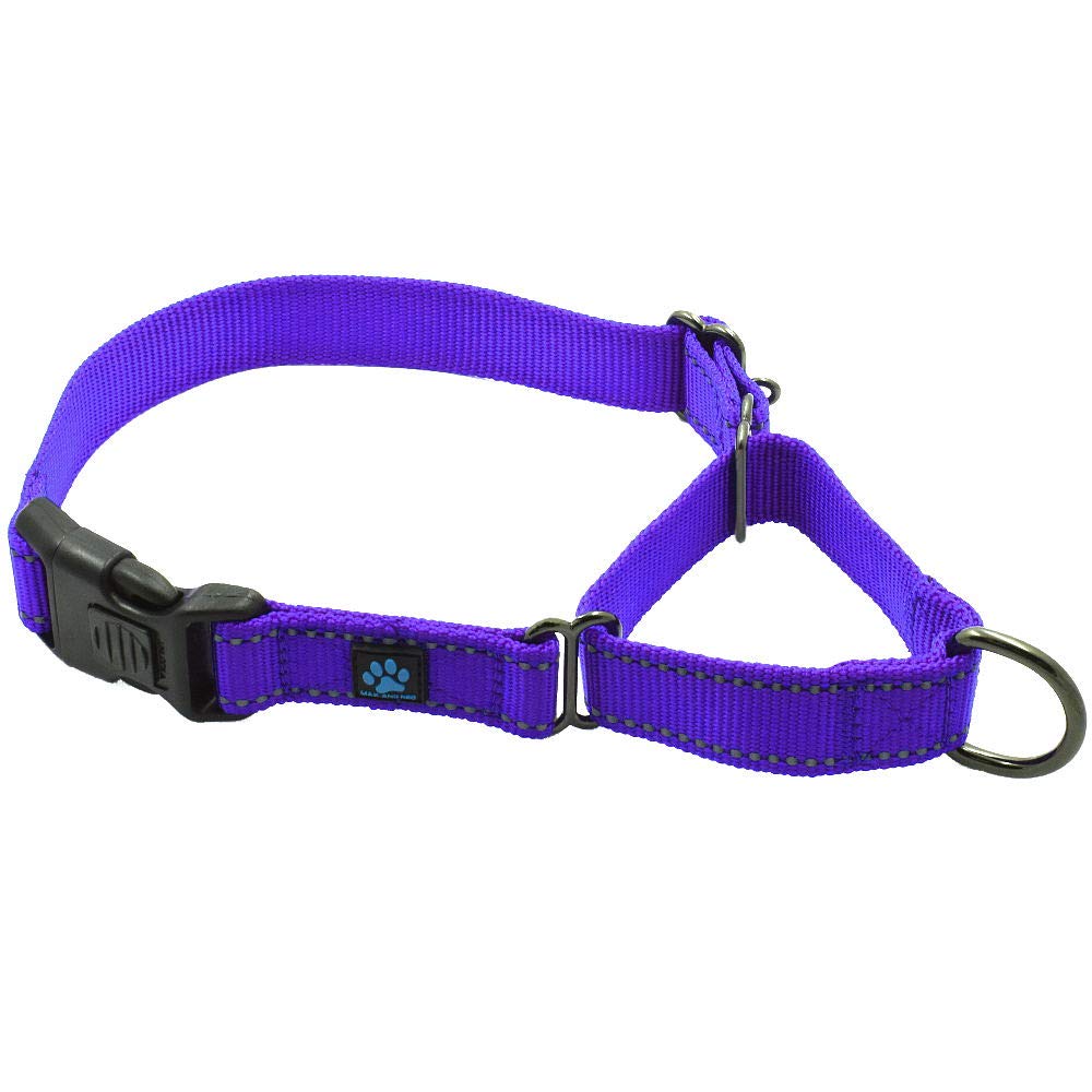 Max And Neo Nylon Martingale Collar - We Donate A Collar To A Dog Rescue For Every Collar Sold (Medium, Purple)
