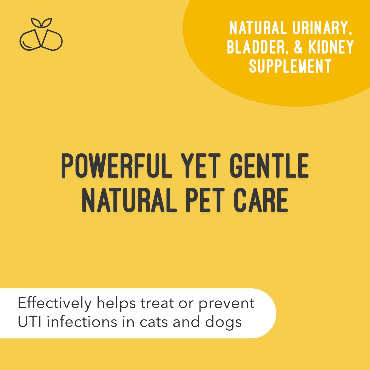 UroMAXX, Cat & Dog Urinary Tract Treatment, Bladder & Kidney Support for Dogs and Cats, Powerful Yet Gentle Pet Care, with Liqui